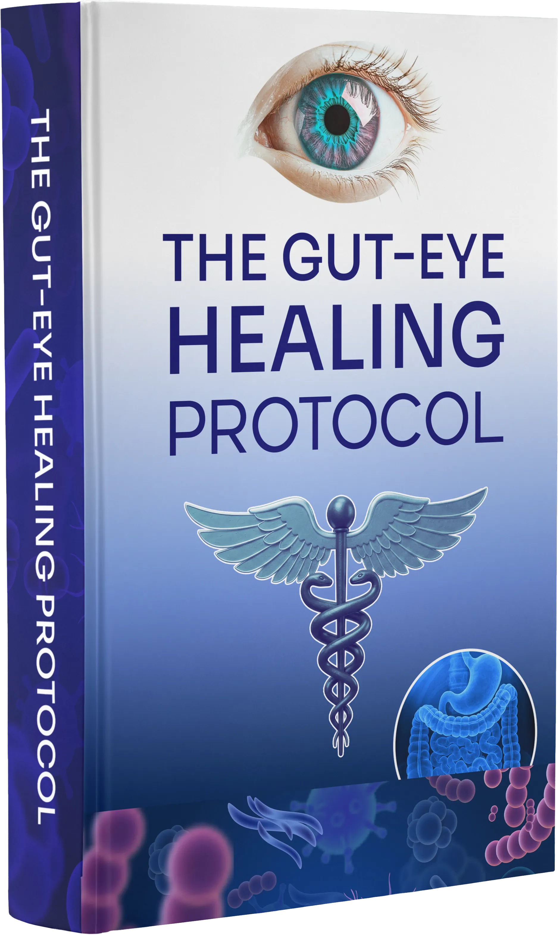 The Gut-Eye Healing Protocol